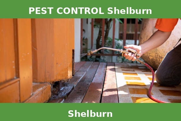 PEST CONTROL Shelburn